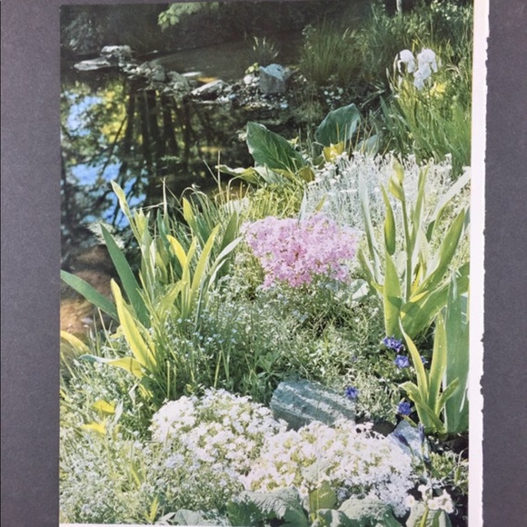 ! 1 Page/2 Sides frm VTG 1951 Photography Book, Model in Blue, Landscaping Scene - Picture 3 of 5